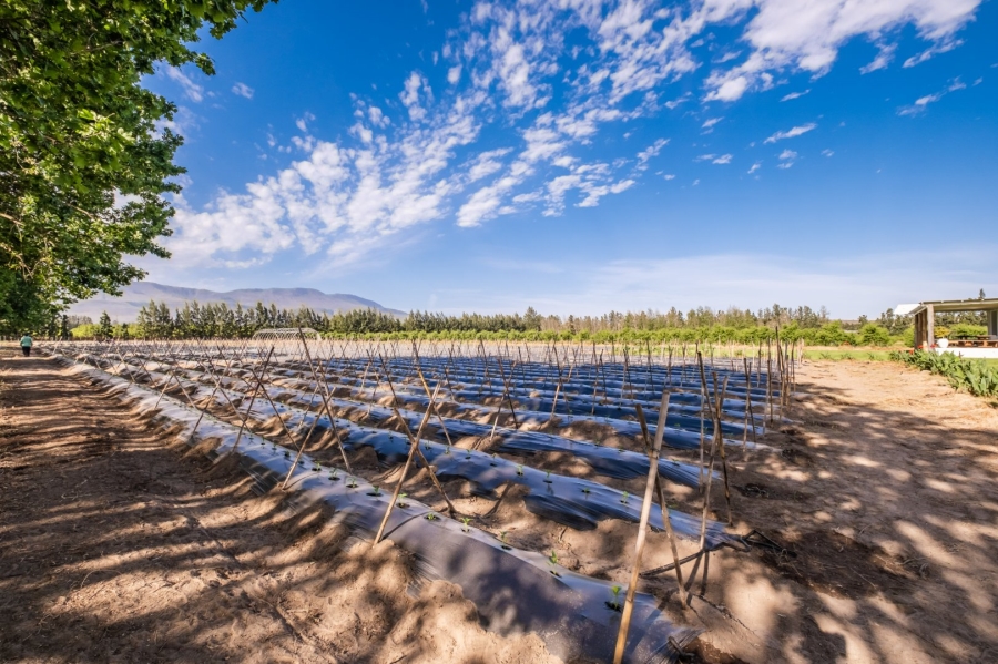 Commercial Property for Sale in Swellendam Rural Western Cape